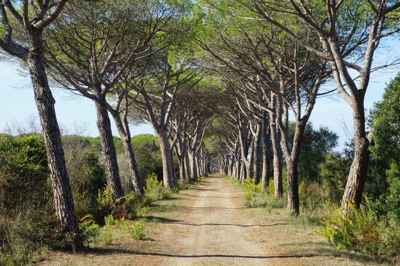 Tenuta San Carlo Hotel Marina Di Grosseto Luaran gambar