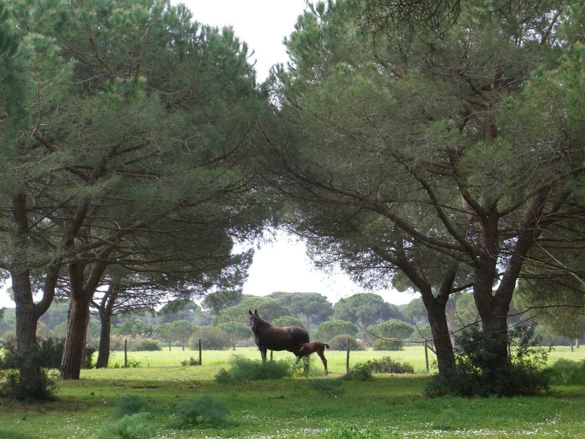 Tenuta San Carlo Hotel Marina Di Grosseto Luaran gambar