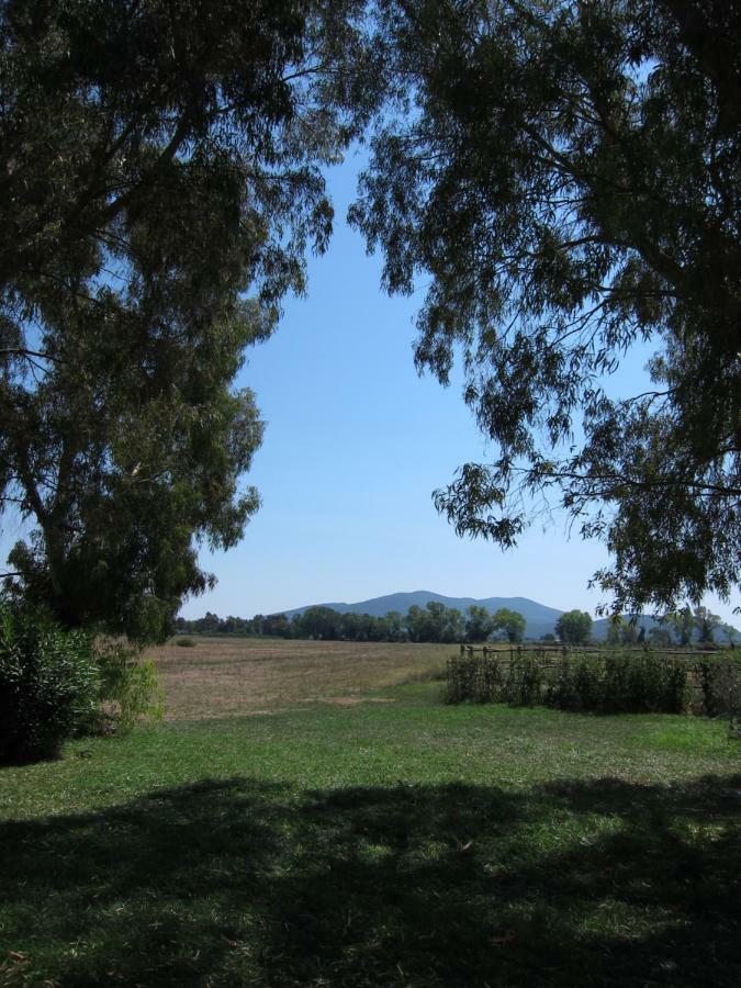 Tenuta San Carlo Hotel Marina Di Grosseto Luaran gambar