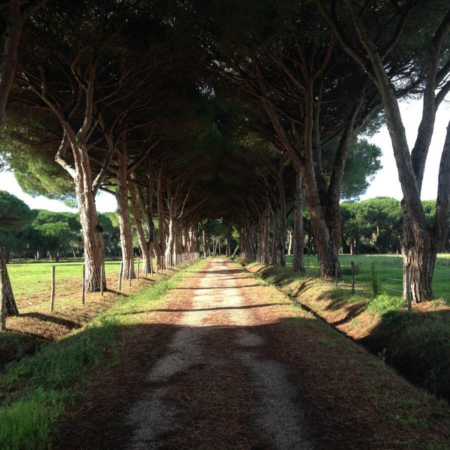 Tenuta San Carlo Hotel Marina Di Grosseto Luaran gambar
